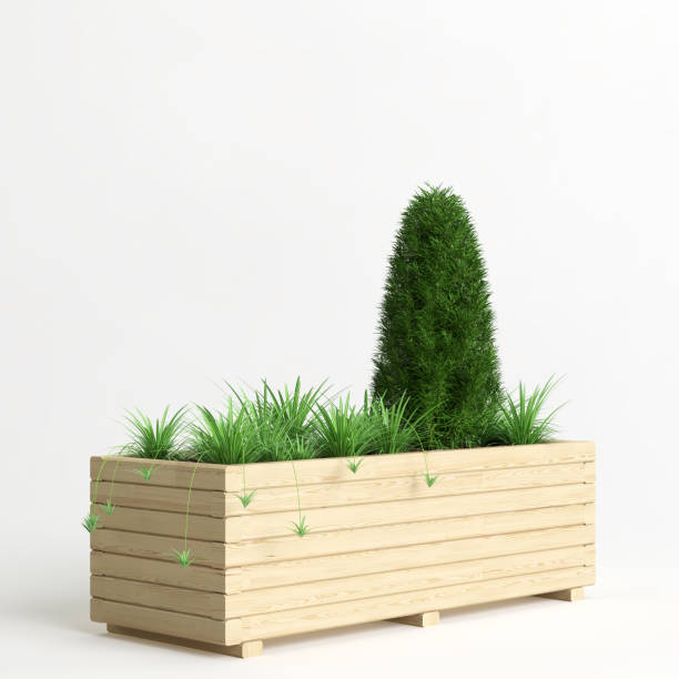 istock 3d illustration of potted plants isolated on white background 1444476005
