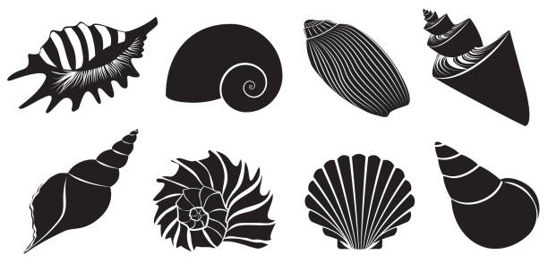 komplet sylwetek w kolorze ciemnej czerni - skorupka jajka stock illustrations