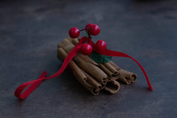 Cinnamon sticks, Dried Lemon , pine cone and Nut on Copper Background