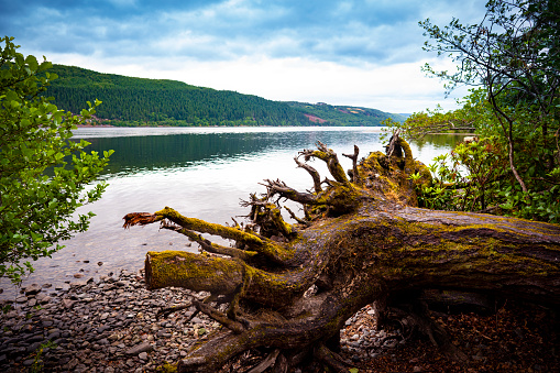 Loch Ness freshwater lake in Scotland Highlands UK famous for the Nessie monster sightings,