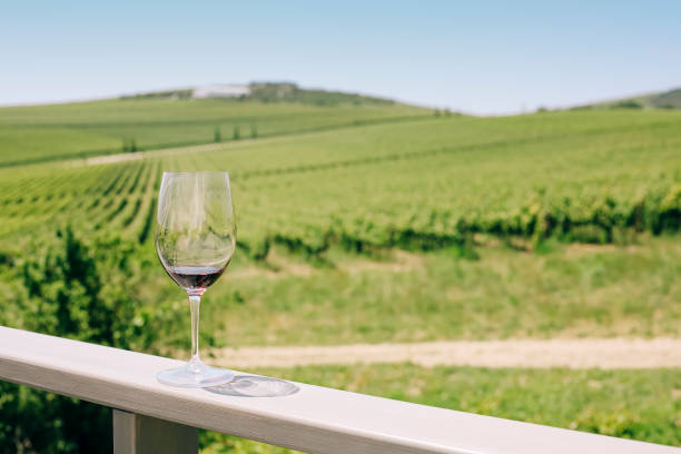 istock Glass with red wine on vineyard background 1444488063