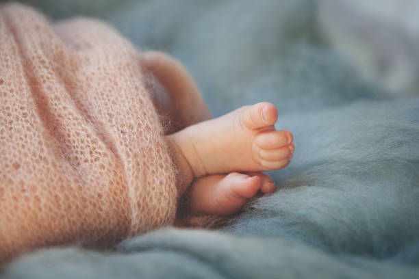 istock Close up newborn baby's feet wrapped in soft knitted blanket 1444490106