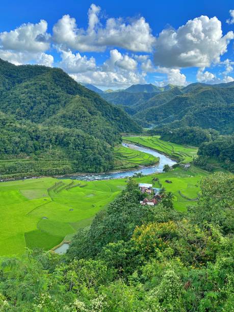 istock Rice Terraces of Banaue, Philippines 1444491212