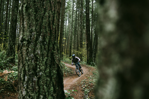 An African American mountain bike rider enjoys an overcast ride through forest trails in Washington state, USA.  He carves through tight dirt berms.