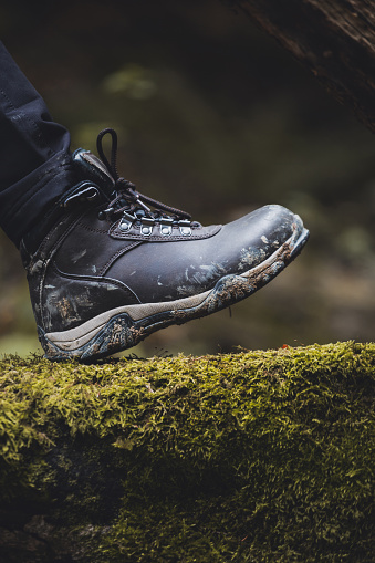 Hiker dirty boot on green moss over the trunk ot the tree. Active lifestyle concept.