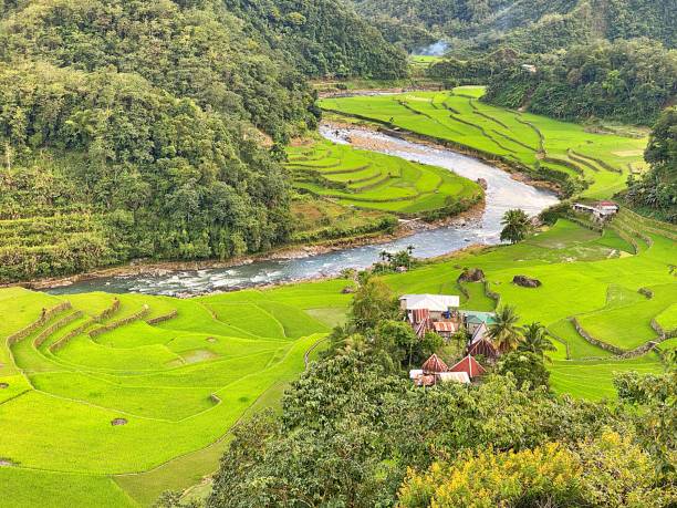 istock Rice Terraces of Banaue, Philippines 1444493479