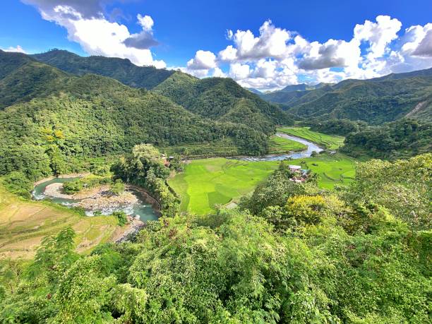istock Rice Terraces of Banaue, Philippines 1444493483