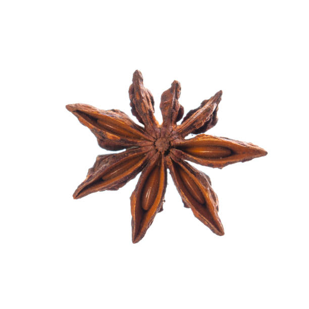 istock Whole Star Anise isolated on white background 1444493572