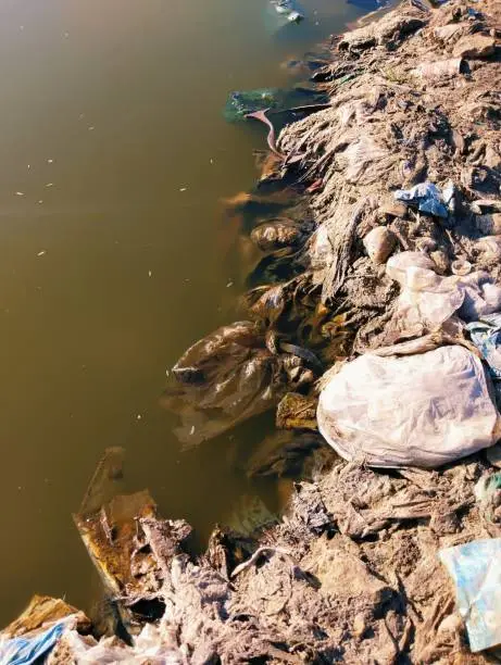 Water polluted with plastic litter and industrial waste dumping remains landfill and house hold garbage trash. Polluted-water, water-pollution, dirty-water closeup view image picture stock photo