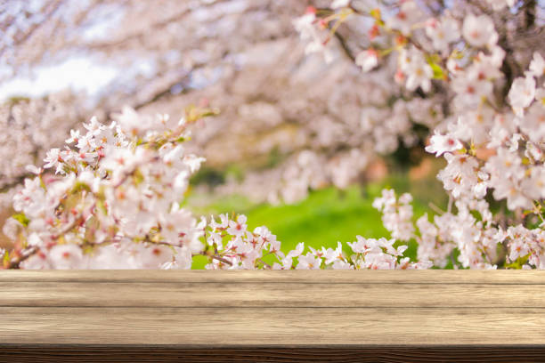 istock wooden table with forest bokeh background 1444495498