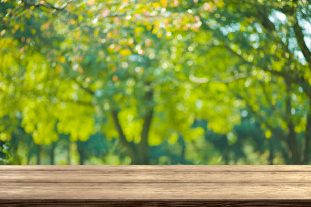 istock wooden table with forest bokeh background 1444495502