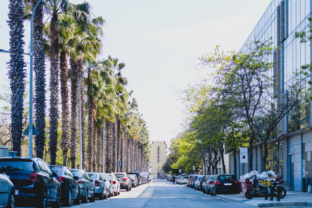 istock street in summer 1444498008