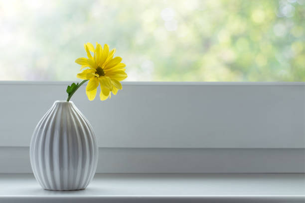 Yellow chrysanthemum flower in white ceramic vase on windowsill. Space for text. Minimal springtime concept.