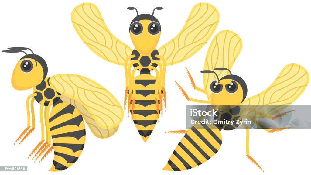 Wasp Fly Animation Set Abstract Collection Flat Cartoon Different Animal Insect Beetle ...