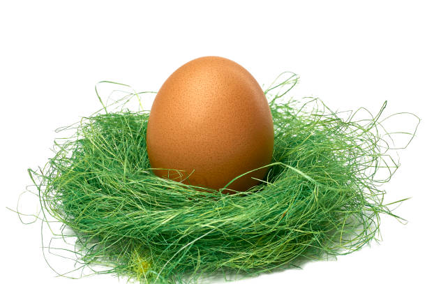 istock chicken grape in a bird nest on a white background 1444508311