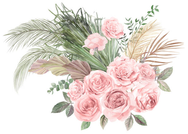 Ilustración de Ilustración En Acuarela Con Un Ramo Con Flores De Rosas Claras Y Flores Secas De Hierba De Las Pampas y más Vectores Libres de Derechos de Arte - iStock Ilustración de Ilustración En Acuarela Con Un Ramo Con Flores De Rosas Claras Y Flores Secas De Hierba De Las Pampas y más Vectores Libres de Derechos de Arte - iStock
