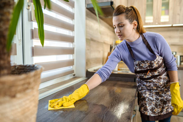 frau mit gelben reinigungsmitteln reinigt eine arbeitsplatte. - cleaning domestic kitchen counter top housework stock-fotos und bilder