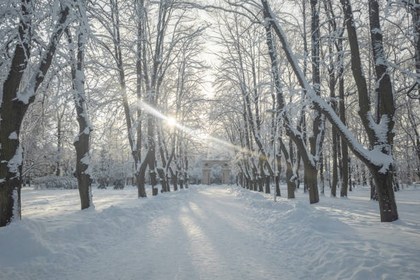 Alley in snowy Viesturdarzs park in Riga on cold and sunny winter day, sun shining brightly through trees