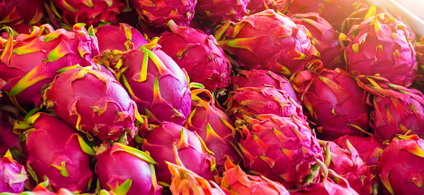 Stacked from dragon fruit exotic or pitahaya fruit in a Turkish market. Banner format size