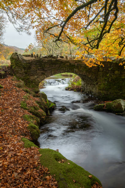 istock Robbers Bridge in Exmoor National Park 1444518294