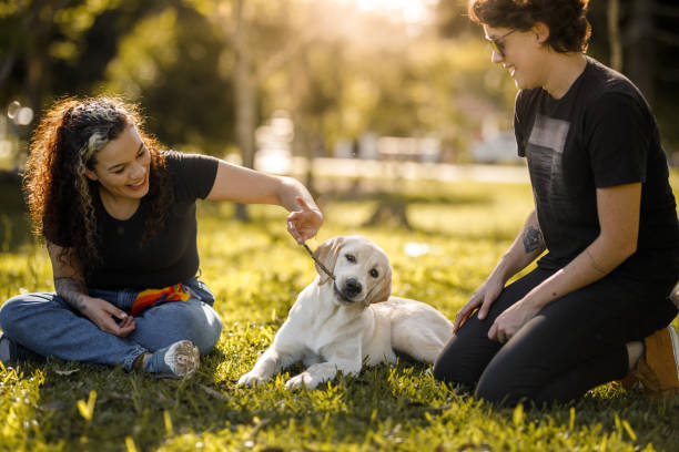 istock Couple playing  with their dog sitting on the grass 1444518896