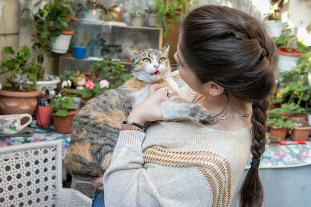 istock Girl with domestic animal 1444521046
