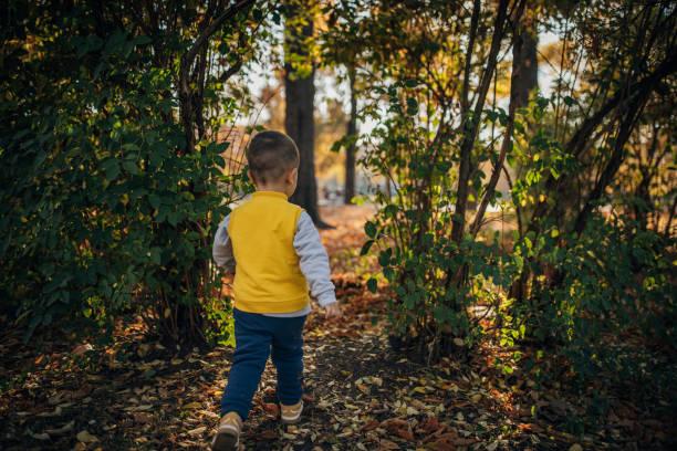 istock Little boy in park 1444522378
