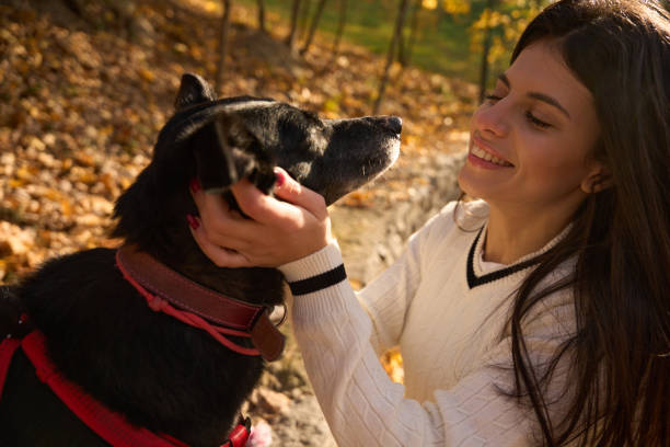 istock Laughing young woman petting a black dog 1444525773