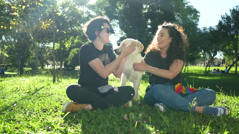 Couple sitting on the grass having fun playing  with their dog