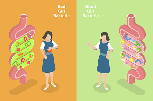 3D Isometric Flat Vector Conceptual Illustration of Good And Bad Gut Bacterias, Gut Flora, Digestive Tract Microorganisms