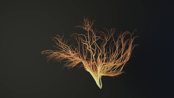 istock Human brain made out of lines. Brain medical Concept. 3D Rendering. 1444538814
