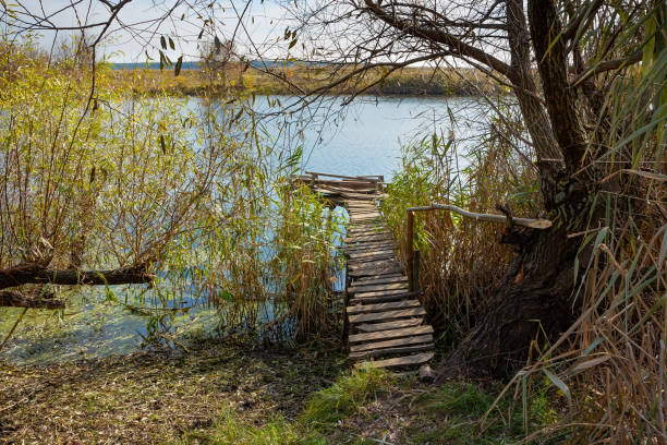 An old pier made of wood - a place for fishing on the banks of the Sivevsky Donets river stock photo