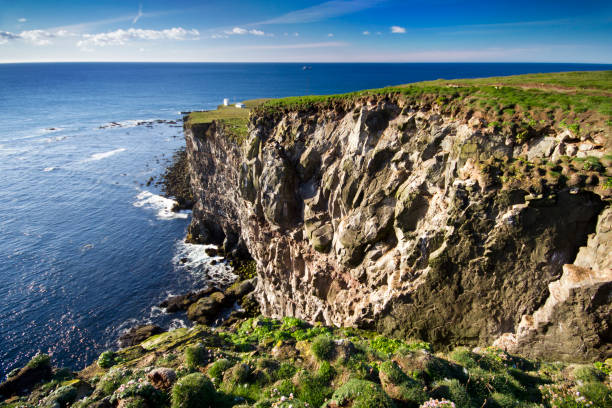 istock Iceland Ocean Landscape 1444544605