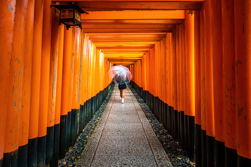 Kyoto, Japan - October 16, 2022: Woman walking with umbrella through famous red gates at Fushimi Inari Taisha in Kyoto Japan