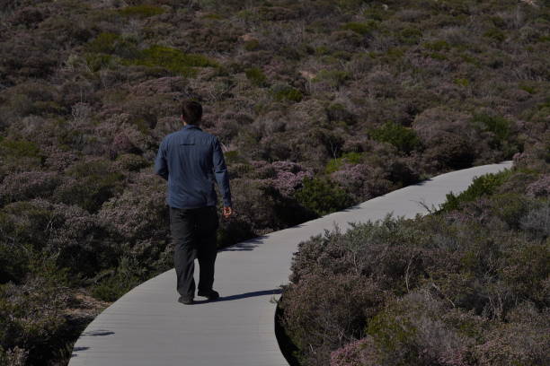 A man walking along a boardwalk surrounded by bushes