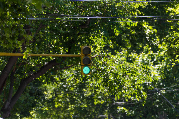 green traffic light, permitted, transport symbol, on background of trees