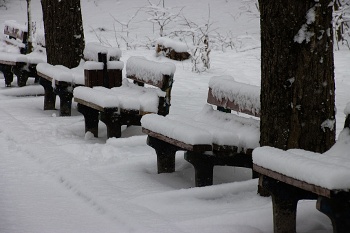 Row of benches  covered in snow in the park on a winter morning.