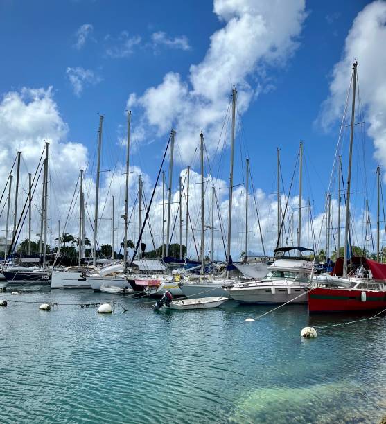 istock Sailboats in a marina 1444567631