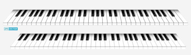 ilustrações, clipart, desenhos animados e ícones de conjunto de teclas realistas de piano preto ou teclas de piano de cauda isoladas. vetor eps - piano piano key orchestra close up