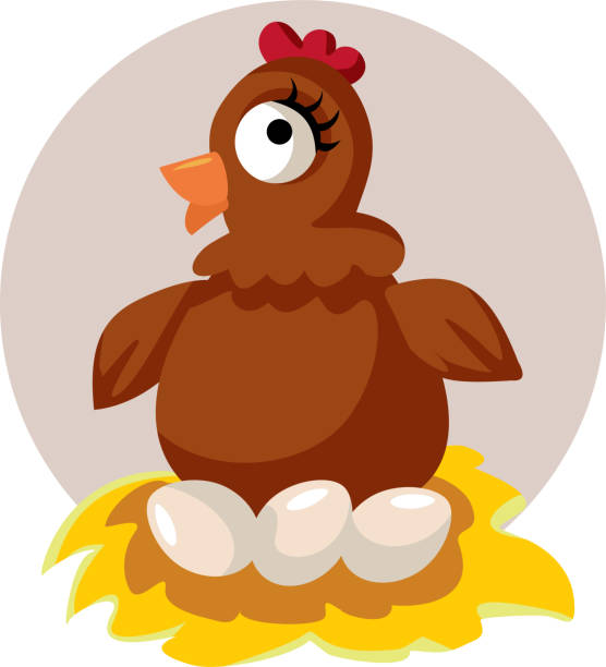 illustrations, cliparts, dessins animés et icônes de happy hen hatching eggs vector cartoon illustration - incubation period