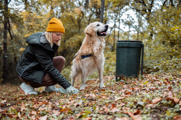 właściciel psa odbierający po psiej kupce - dog dung garbage pets zdjęcia i obrazy z banku zdjęć