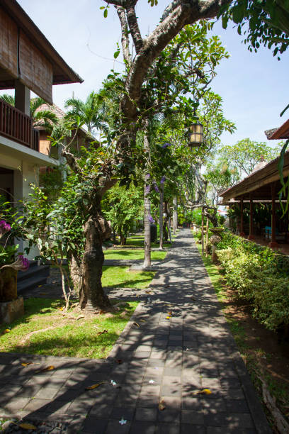 giardini tropicali tipici a sanur, bali, indonesia con piante e alberi esotici ed edifici in stile balinese - luxury hotel palm tree lush foliage asia foto e immagini stock