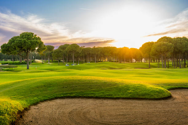 panorama mit sandbunker auf einem golfplatz ohne menschen mit einer baumreihe im hintergrund bei sonnenuntergang belek türkei - golf golf club luxury golf course stock-fotos und bilder