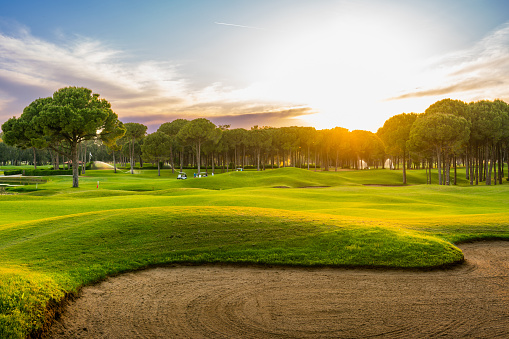 Panorama with a sand bunker on a golf course without people with a row of trees in the background during sunset Belek Turkey.