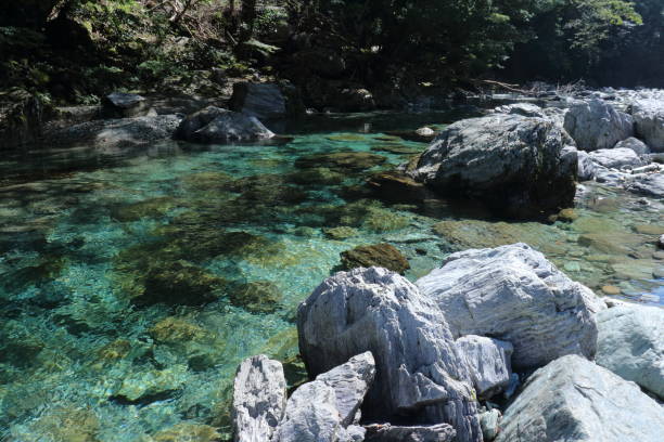 istock Mountain stream flowing through Otomegawara,Yasui Valley (Niyodogawa Town, Kochi Prefecture) 1444586274