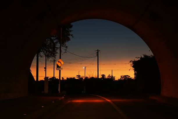 istock Morning glow silhouette at sunrise. 1444593225