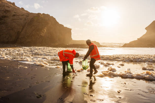 istock Litter picking on beach, hope for a sustainable environment. 1444594958