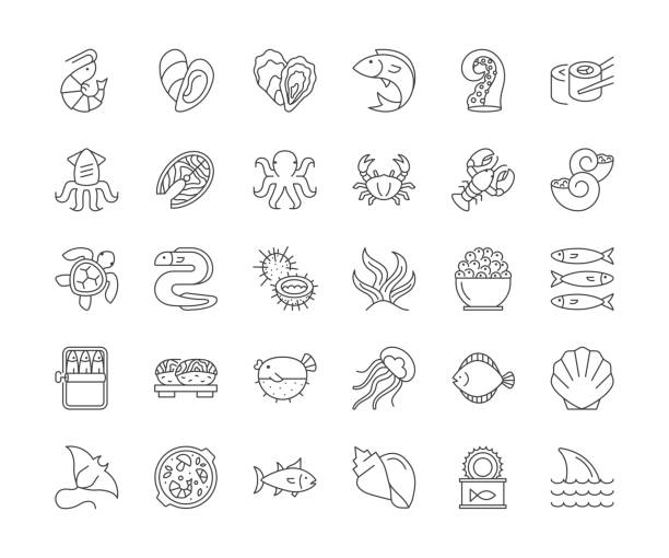 illustrazioni stock, clip art, cartoni animati e icone di tendenza di icone della linea di frutti di mare. tratto modificabile. - passera