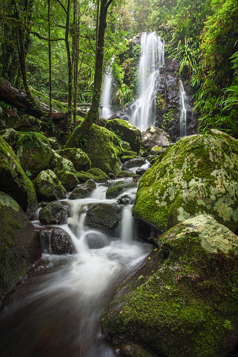 Beautiful , green, moody waterfalls in the rainforest in the mist and rain as seen on a hike in Lamington National Park