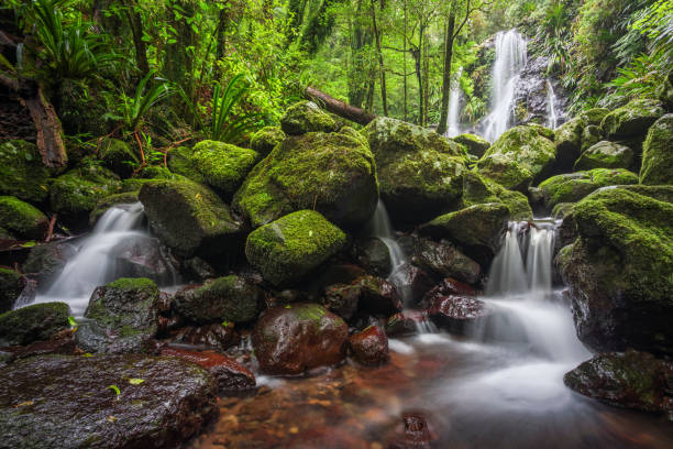 Waterfalls in Lamington NP